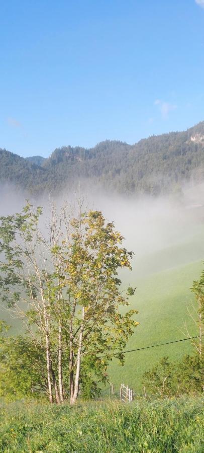 Bichlhof Riedenberg Villa Thiersee Luaran gambar