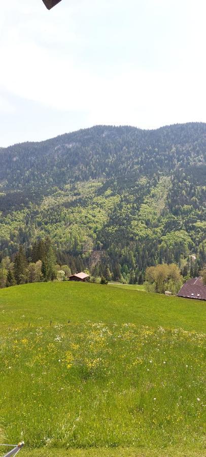 Bichlhof Riedenberg Villa Thiersee Luaran gambar