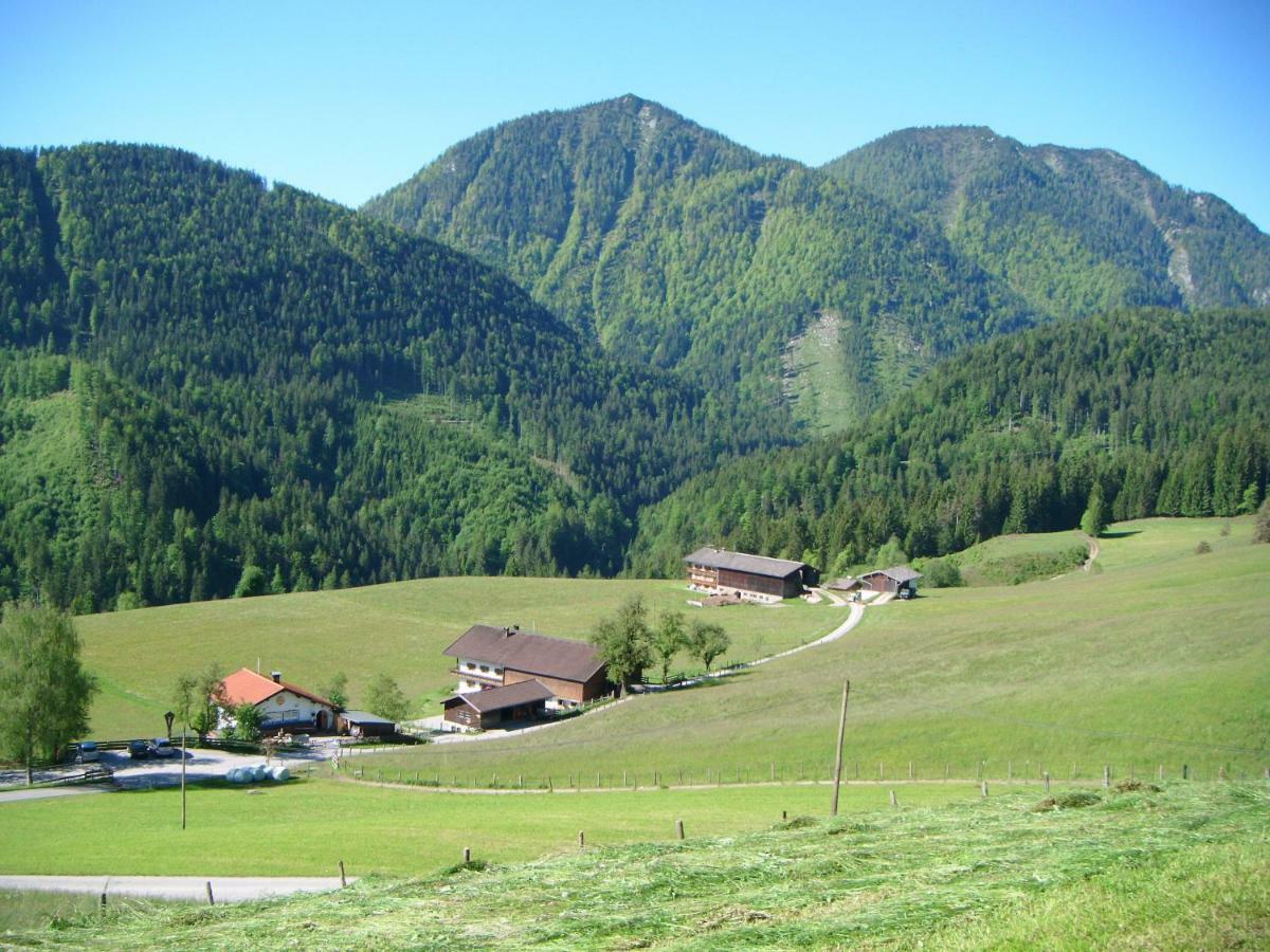 Bichlhof Riedenberg Villa Thiersee Luaran gambar